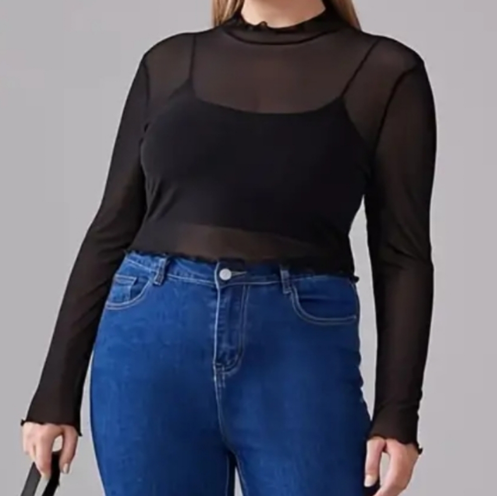 Plus Size Sheer Crop Top